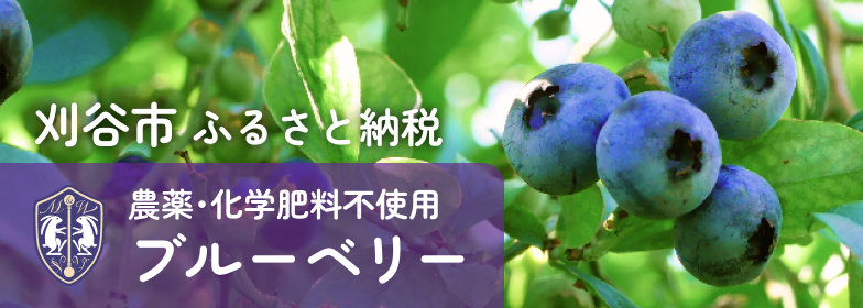 刈谷市ふるさと納税 農薬・化学肥料不使用ブルーベリー